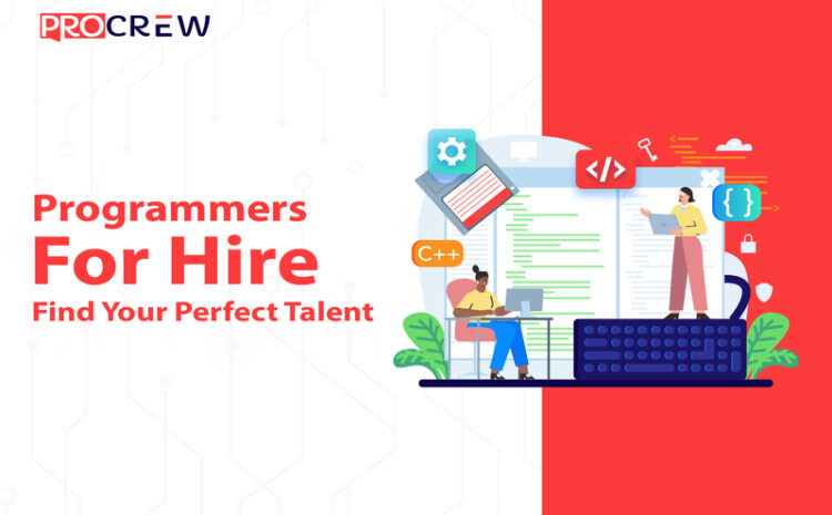 Programmers for Hire Find Your Perfect Talent