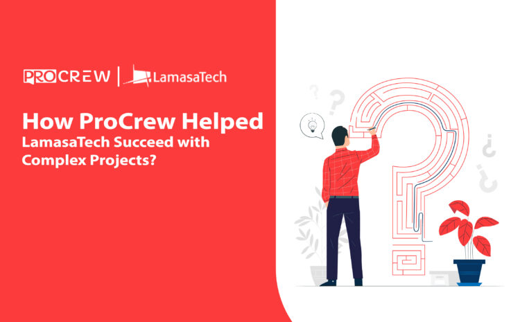 How ProCrew Helped LamasaTech Succeed with Complex Projects